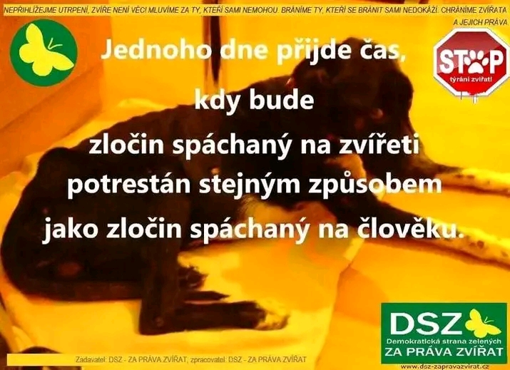 1752055808657