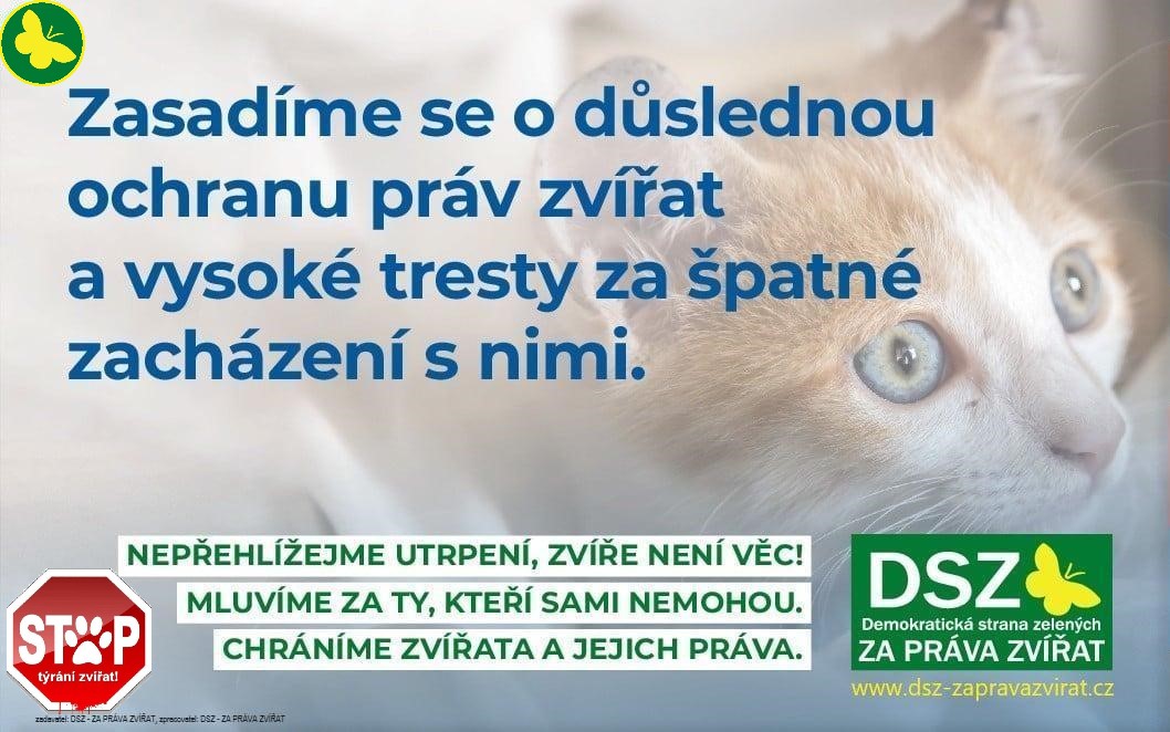 DSZ - ZA PRÁVA ZVÍŘAT6