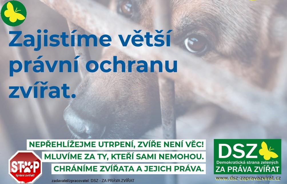 DSZ - ZA PRÁVA ZVÍŘAT7